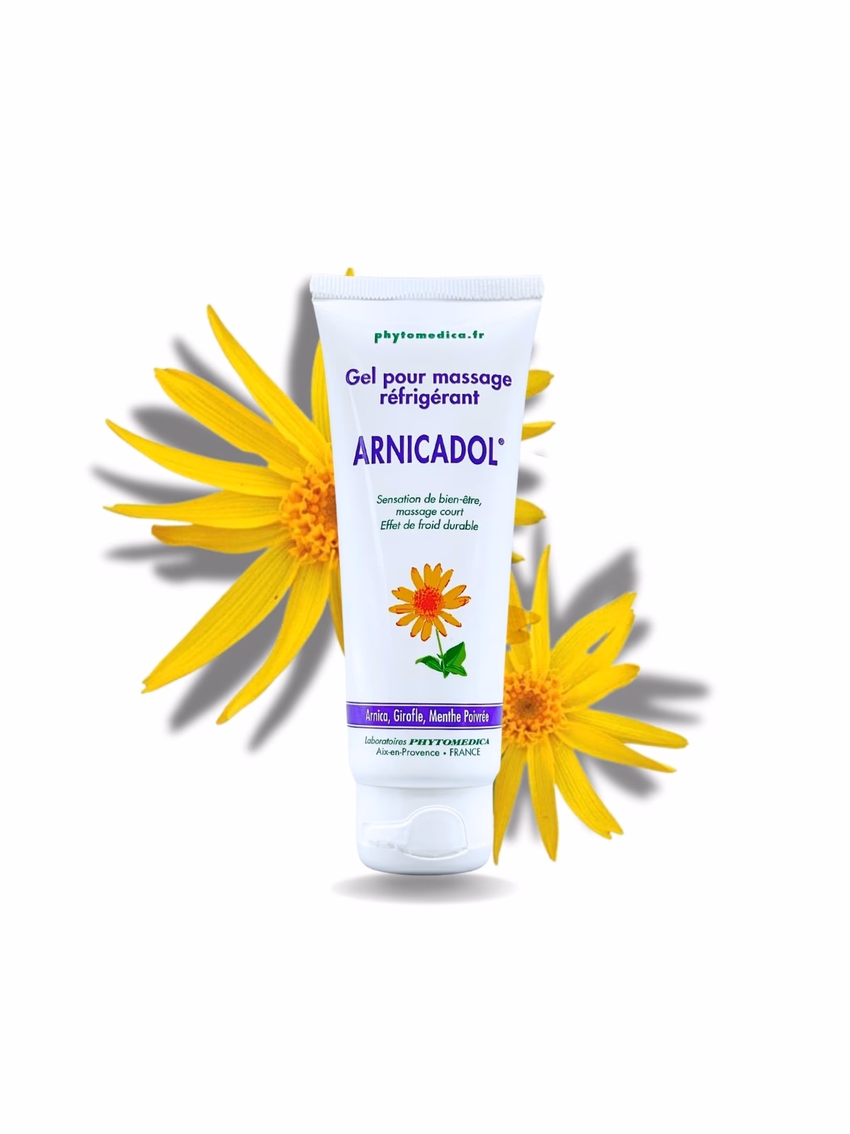 Quels sont les bienfaits du gel d’extrait hydroglycériné d’Arnica ?