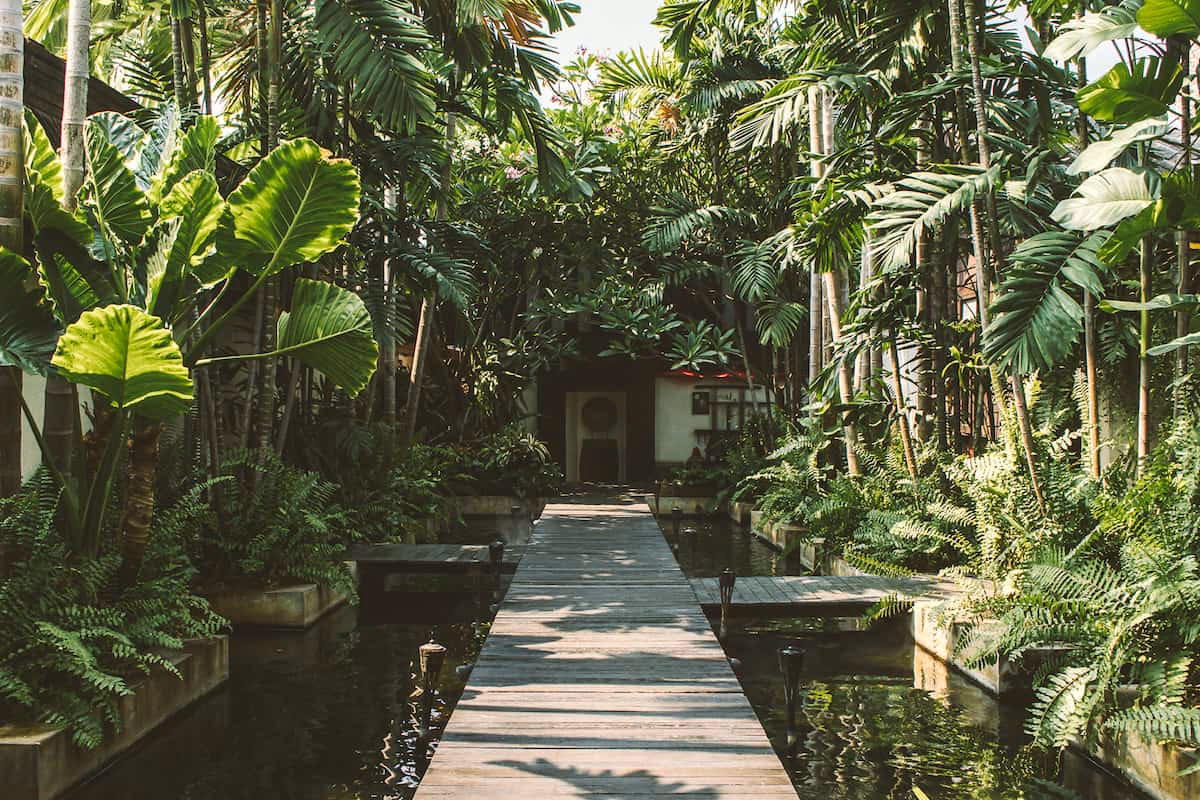 Which is better Oasis spa Chiang Mai or makkha health & spa?