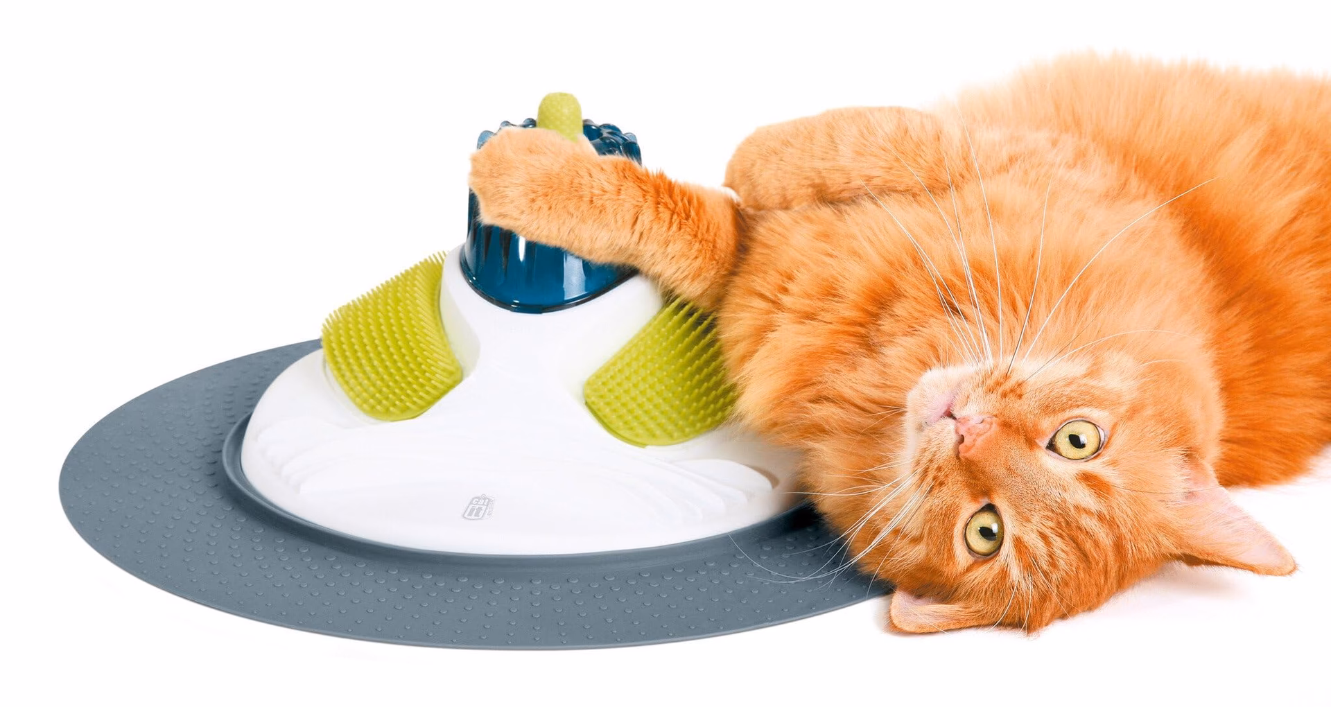 Est-ce que Royal Canin est bon pour mon chat ?