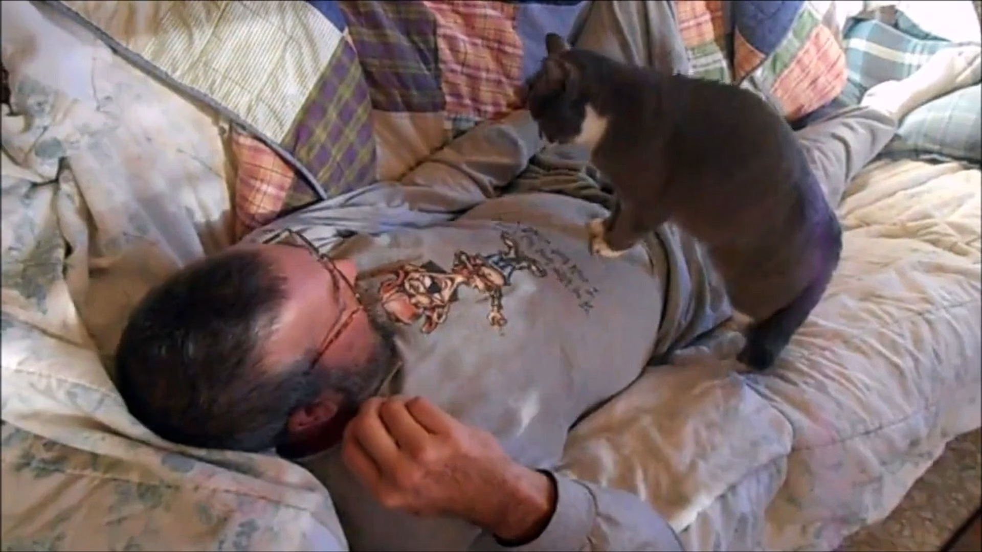 Quels sont les signes avant-coureurs d'un chat ?