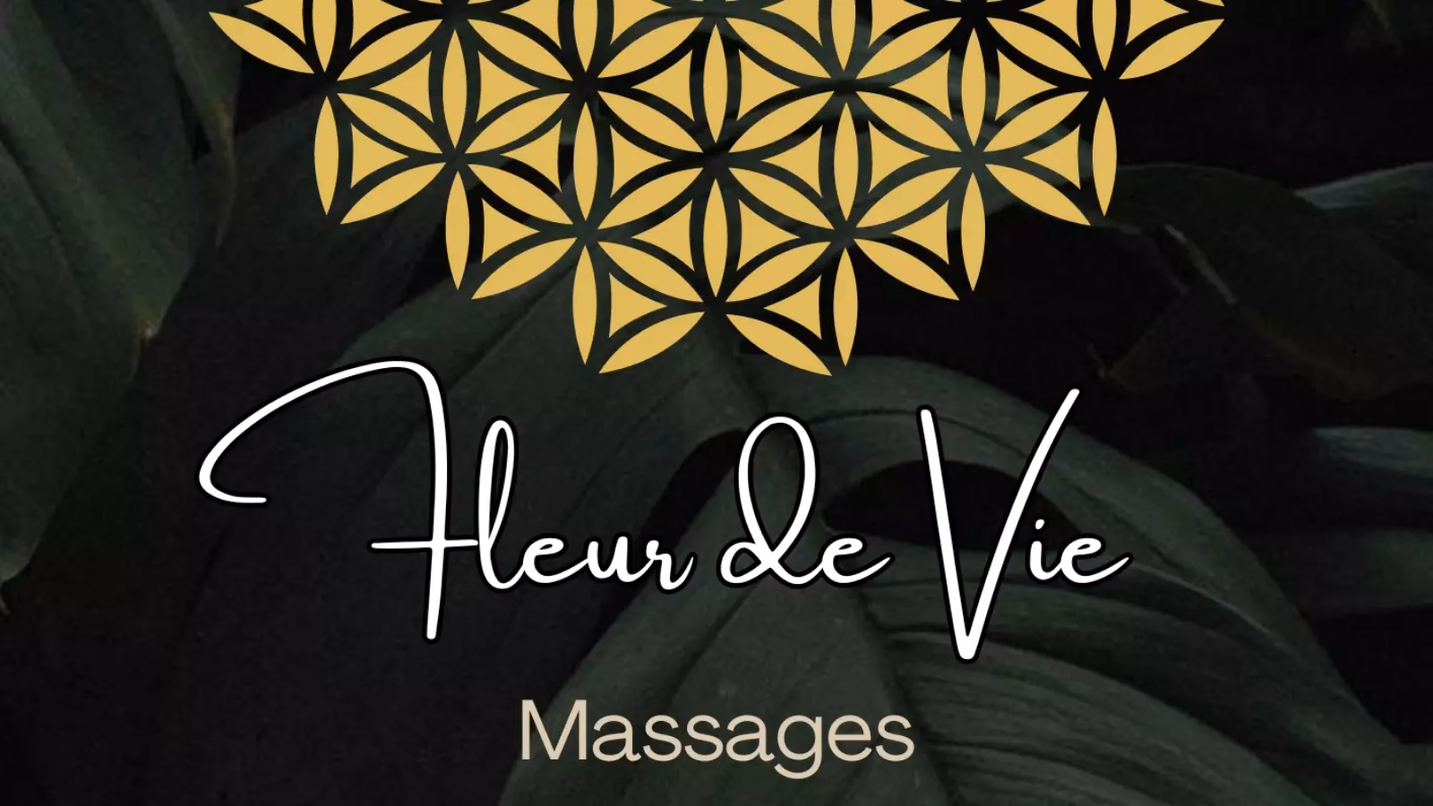 Comment utiliser la fleur de vie ?