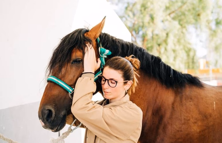 Qui est précurseur de la nouvelle vague de bien-être des chevaux ?