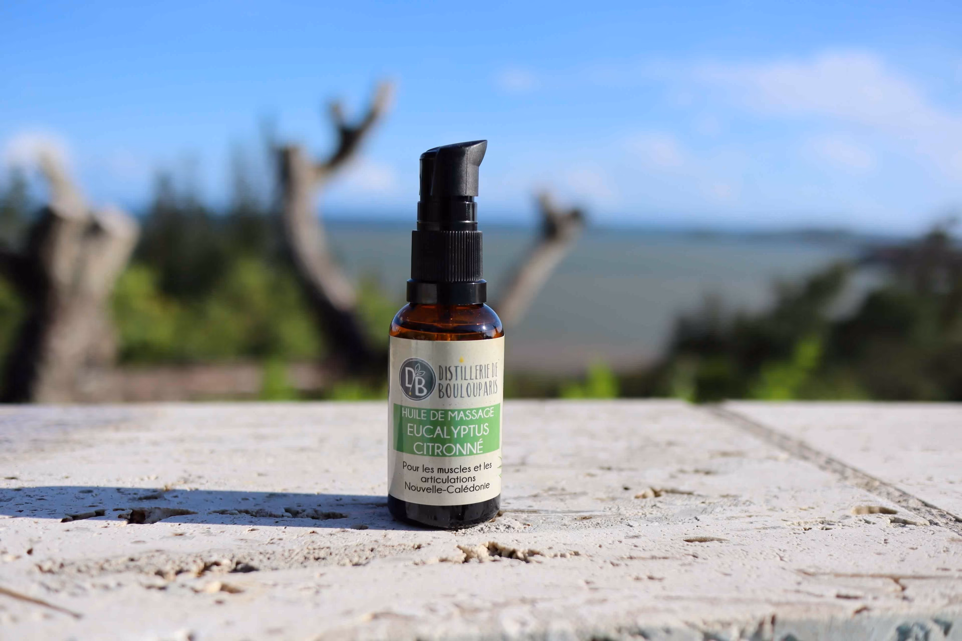 Quels sont les bienfaits de l'eucalyptus citronné en aromathérapie pour le rhume ?