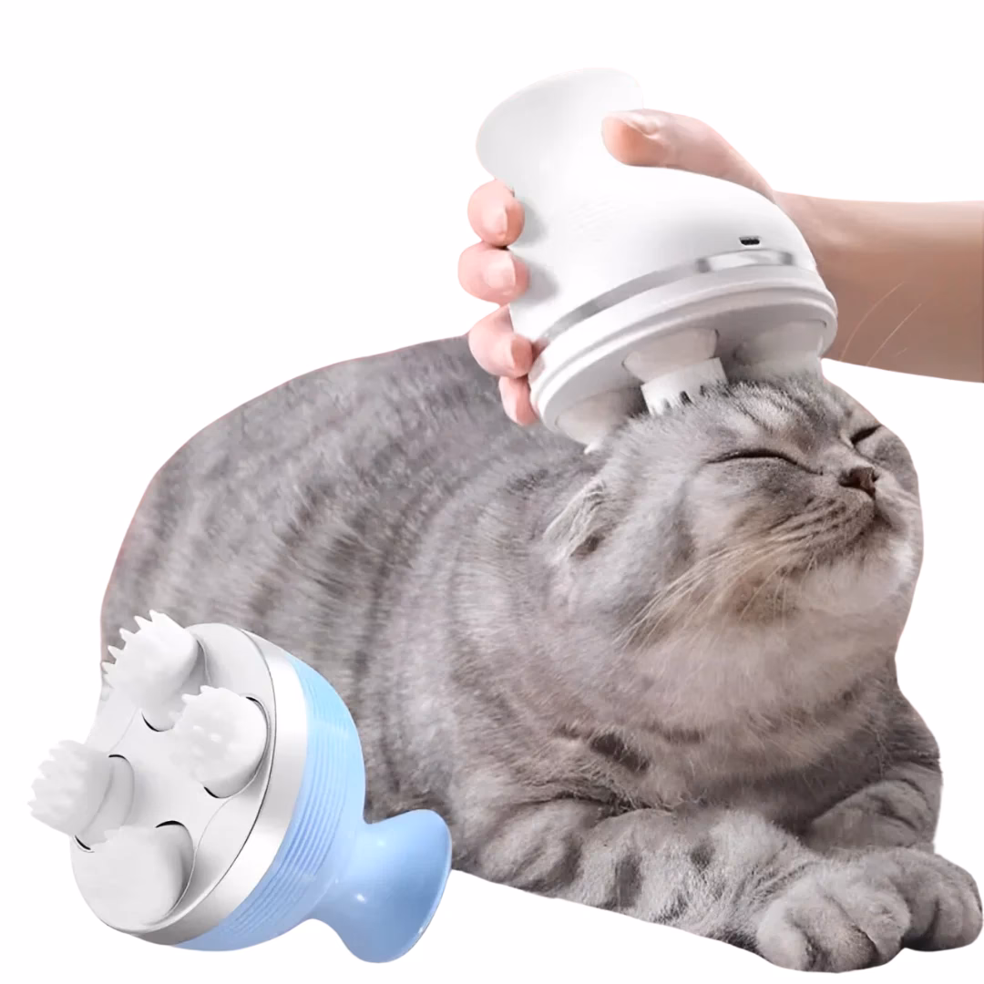 Why should you choose a 3D head massager for pets?