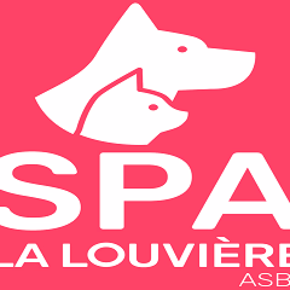Pourquoi la SPA de La Louvière est-elle saturée ?