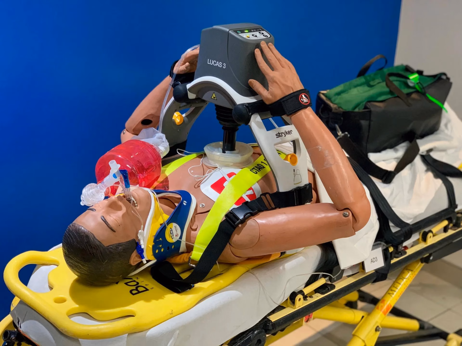 Quelle est la garantie du système de compression thoracique Lucas ?