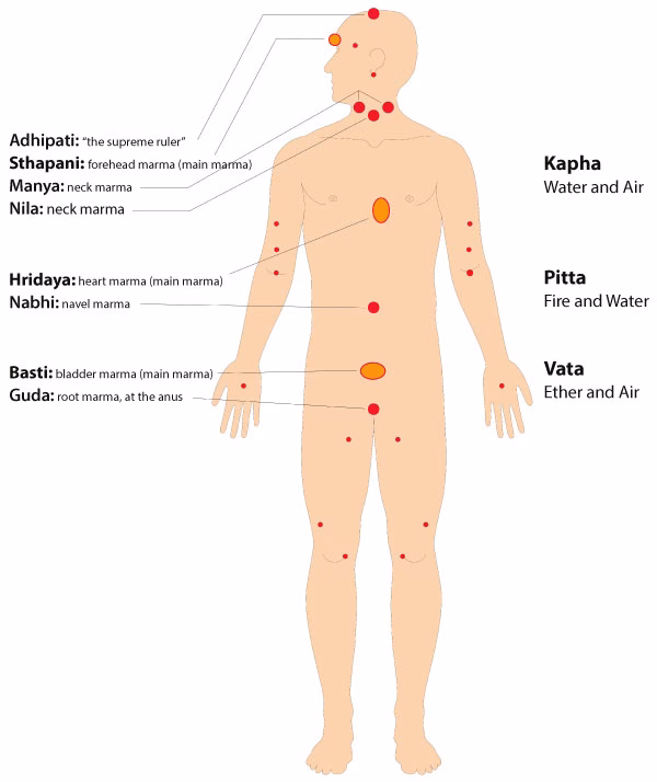 Qu'est-ce que la thérapie des points Marma ?