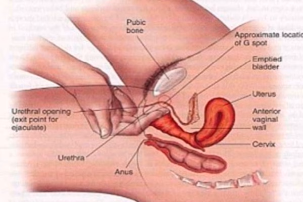 Quels sont les bienfaits du massage Yoni ?