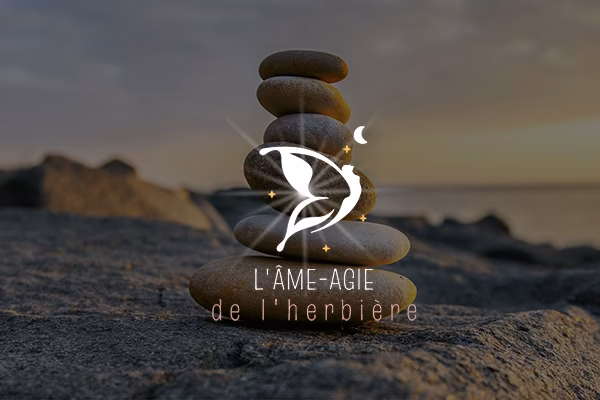 Quelle est la localisation de Esneux ?