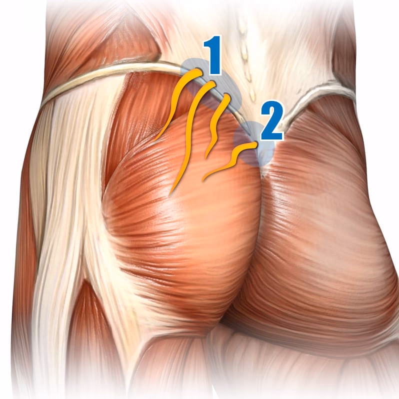 How do I perform a self-massage of the gluteus maximus?