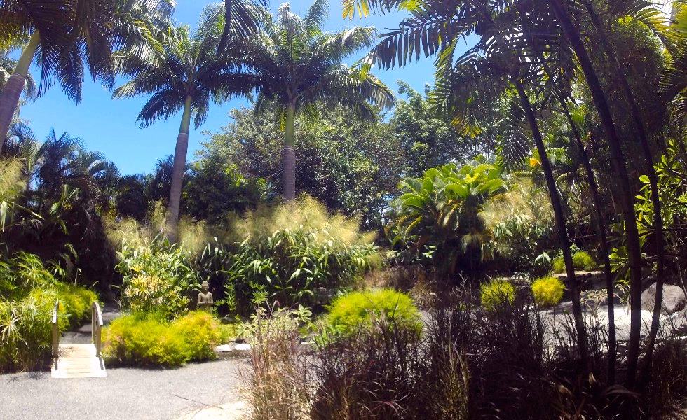 Quels sont les meilleurs soins en Guadeloupe ?