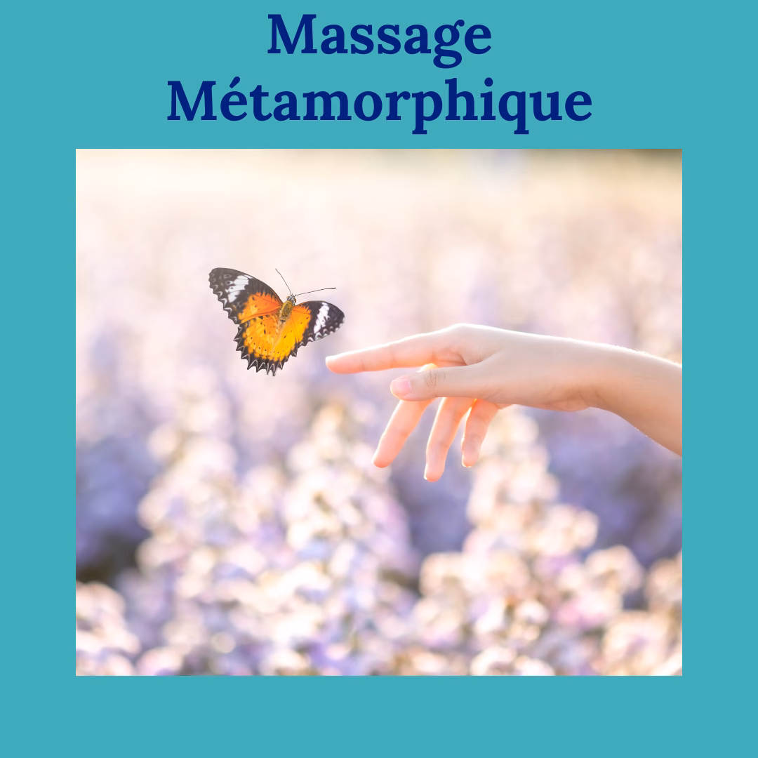 Quels sont les avantages de la métamorphose ?