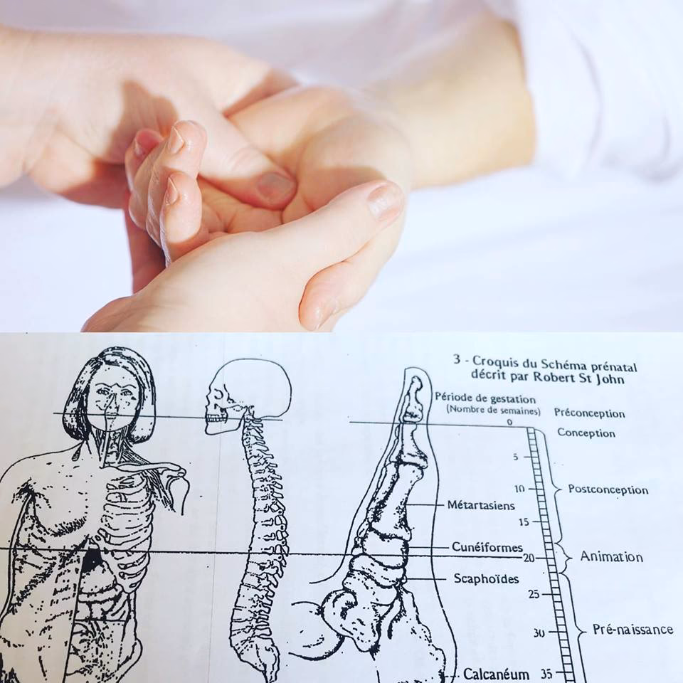 Pourquoi faire une séance de métamorphose ?