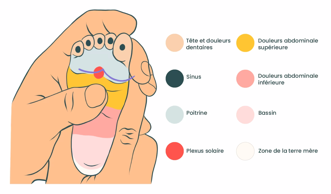 Qu'est-ce que le massage sur le bébé ?
