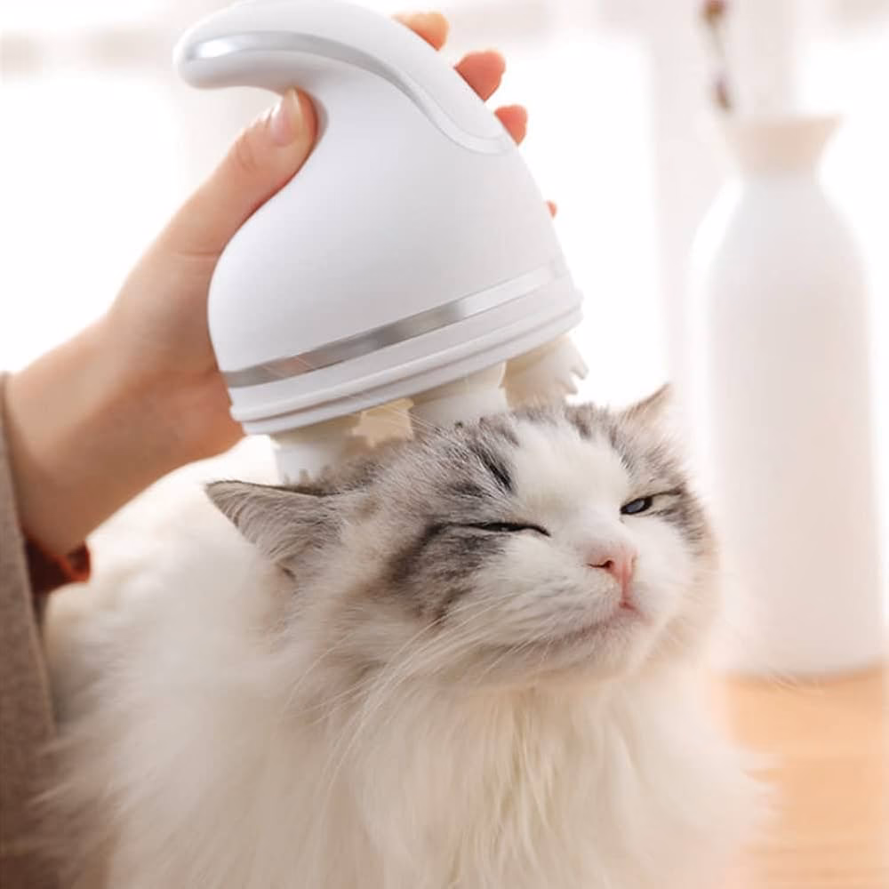 Where to buy cat head massager?