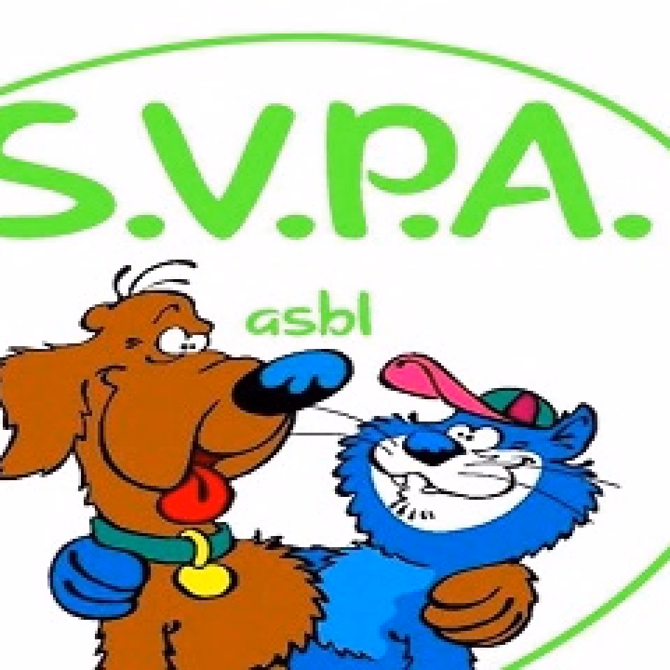 Quelle est la mission principale de l'ASBL Spa Verviers ?