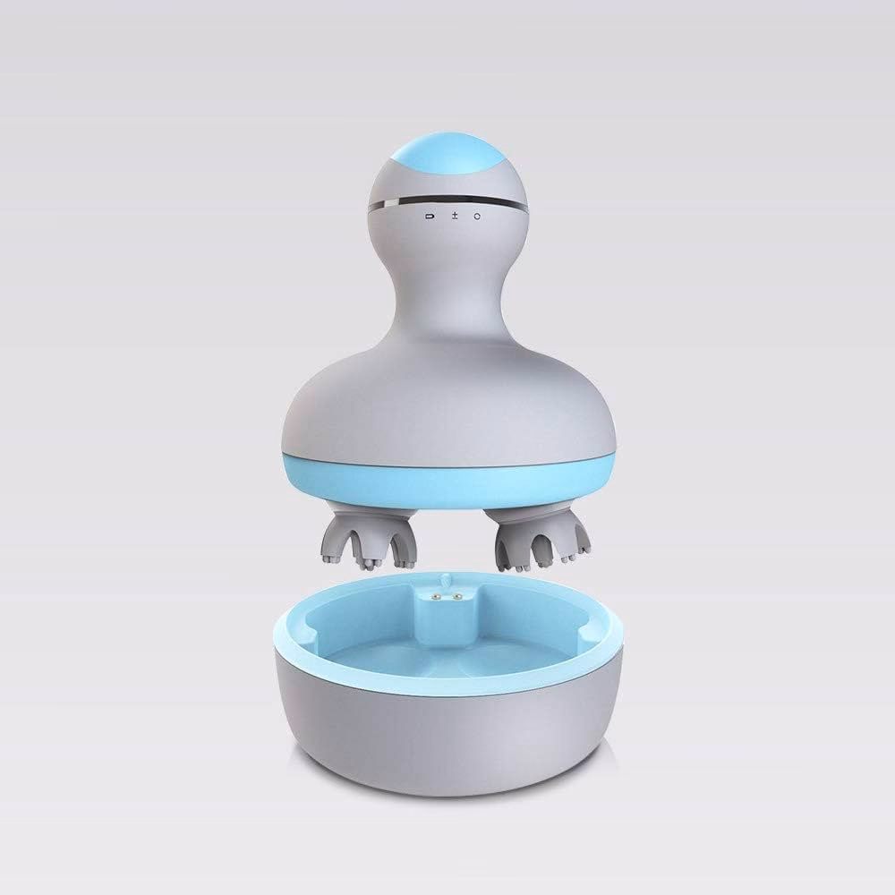 Est-ce que Xiaomi a des puces ?